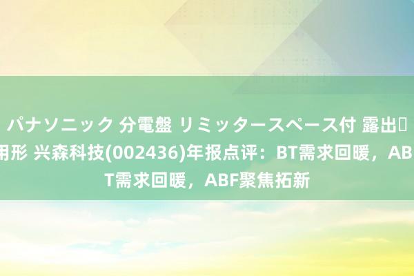 パナソニック 分電盤 リミッタースペース付 露出・半埋込両用形 兴森科技(002436)年报点评：BT需求回暖，ABF聚焦拓新