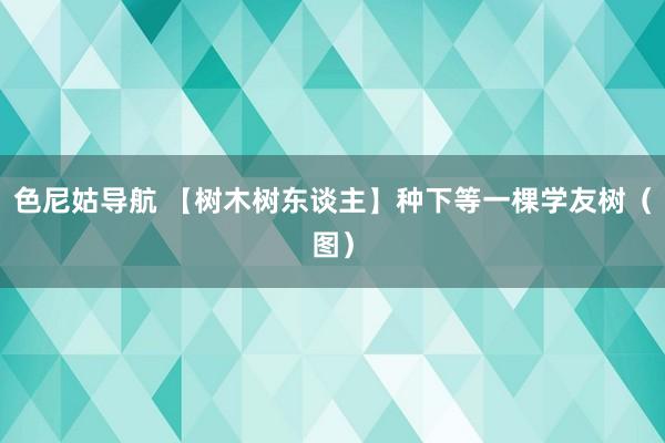 色尼姑导航 【树木树东谈主】种下等一棵学友树（图）